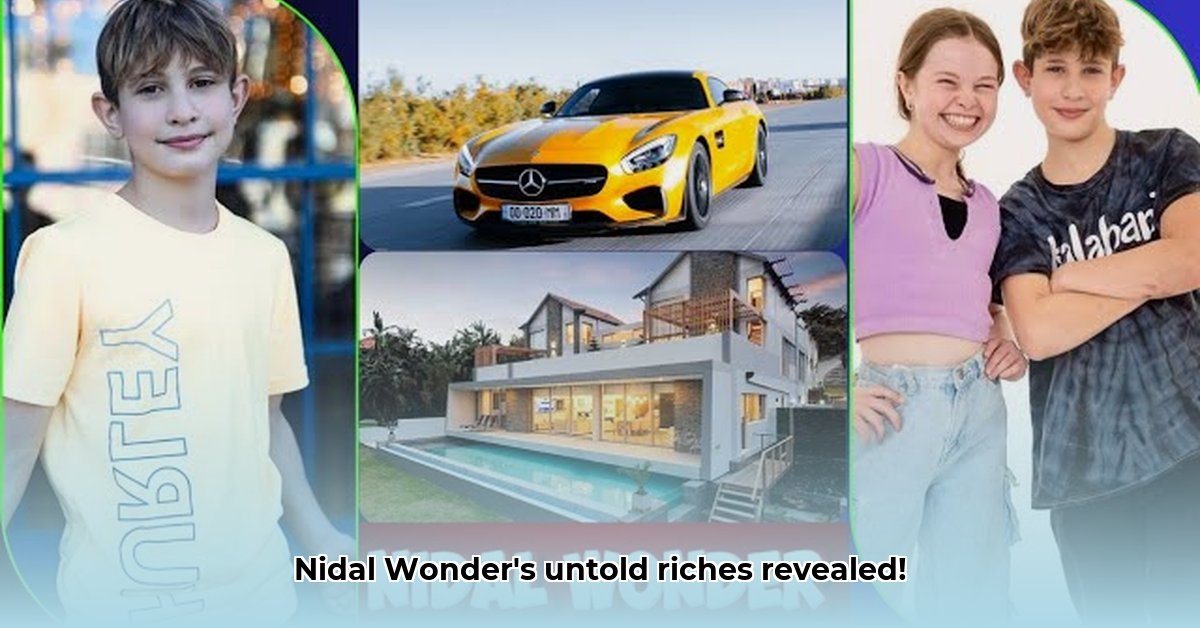 nidal-wonder-net-worth